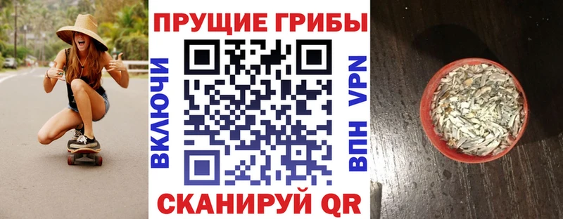 Галлюциногенные грибы Psilocybe  Усть-Катав 